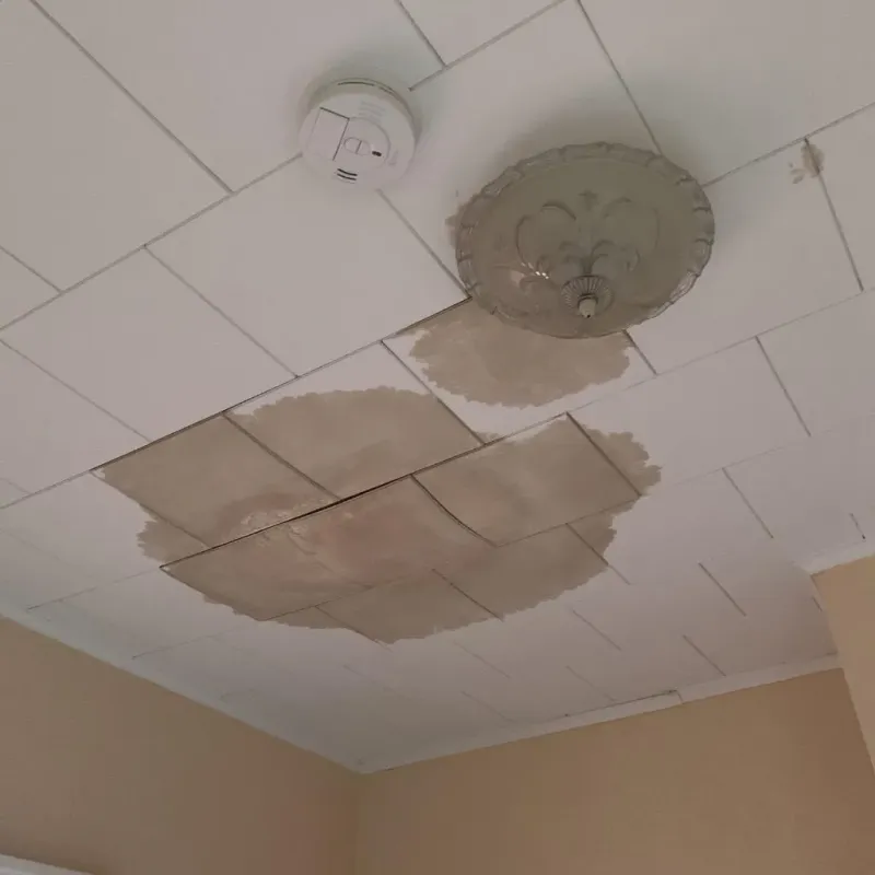 Ceiling Water Damage Repair in Ziebach County, SD