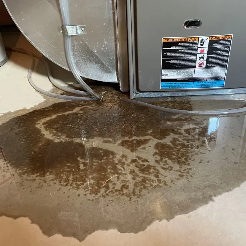 Pipe Burst and Leak Restoration in Ziebach County, SD