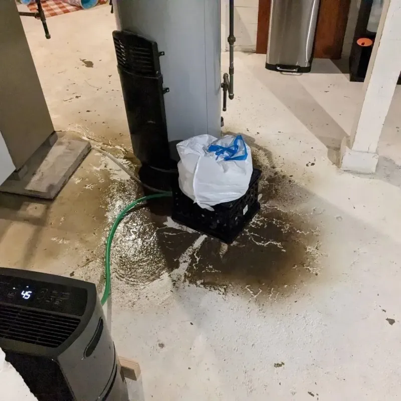 Sewage Backup Cleanup Service in Ziebach County, SD